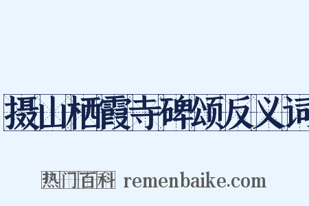摄山栖霞寺碑颂反义词是什么意思的图片